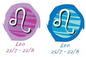 Compatibilidad Leo y Leo