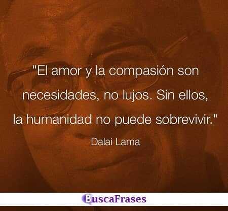 El amor y la compasión son necesarios - Dalai Lama