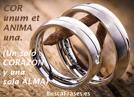 Frases de amor en latín para anillos
