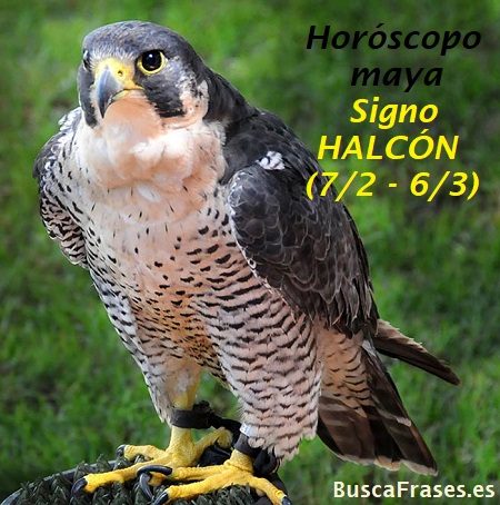Signo del halcón en el horóscopo maya