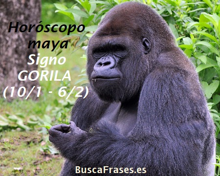 Signo del gorila en el horóscopo maya