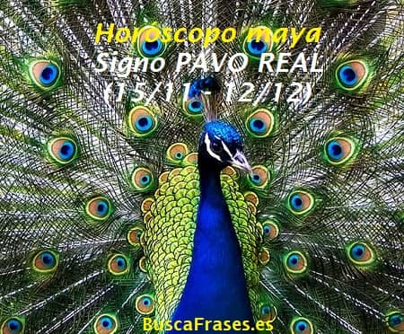 Signo del pavo real en el horóscopo maya