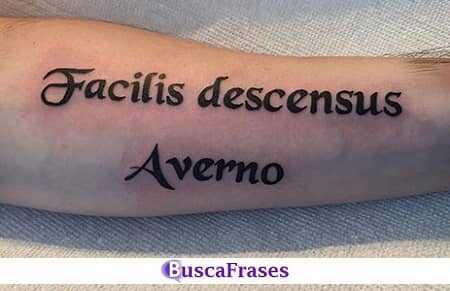 Tatuaje en latín lección de vida